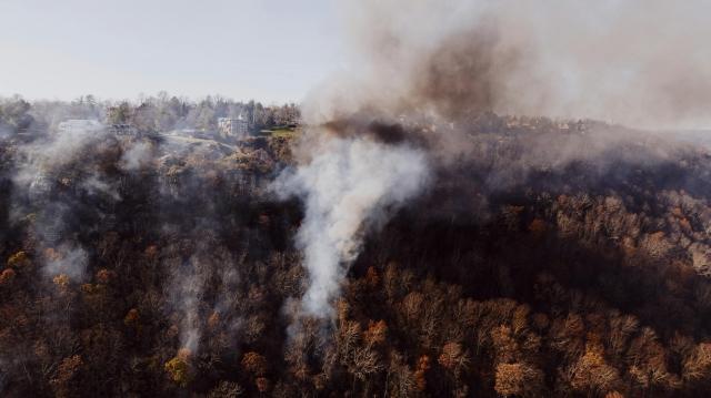How Can Fire-Resistant Roofing Protect Your Home from Wildfires? cover picture