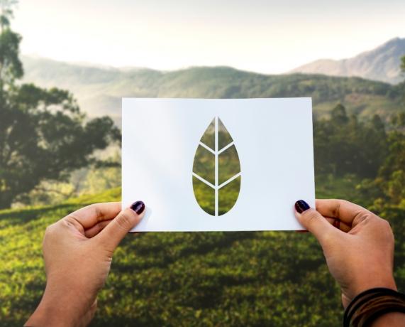 What Is a Carbon Footprint? cover picture