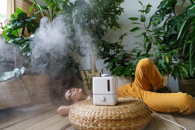 Understanding Impacts on Indoor Air Quality cover picture