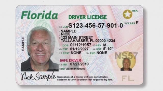 Editable Florida Drivers License Template for Customization cover picture