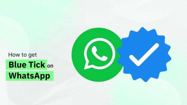 WhatsApp Blue Tick (2025): A Complete Guide by WebMaxy cover picture