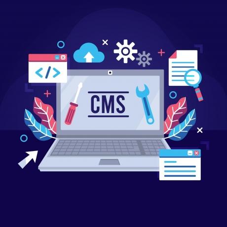 Elevate Your Online Presence with Professional Drupal Development Services cover picture