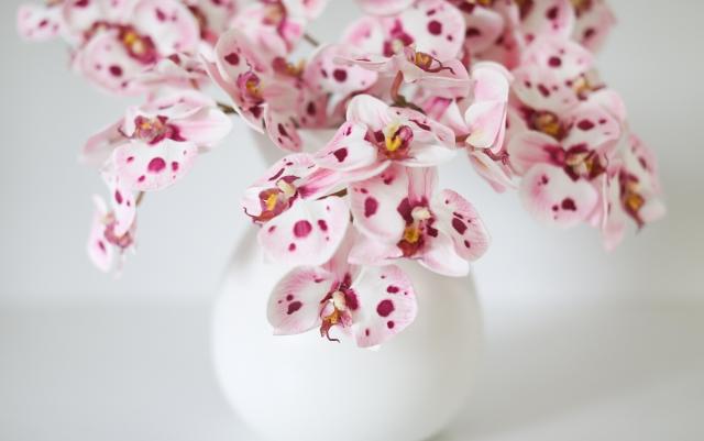 Everlasting Elegance: Decorating with Realistic Artificial Orchids cover picture