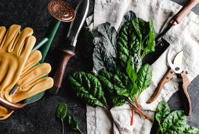 5 Useful Gardening Tools You Didn’t Know Existed cover picture