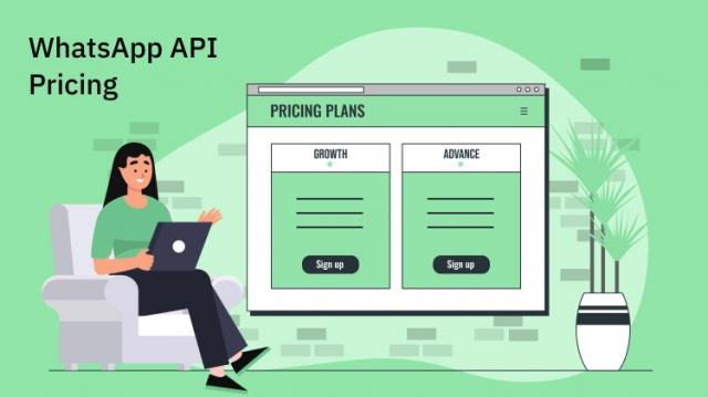 WhatsApp API Pricing by WebMaxy: A Comprehensive Guide cover picture