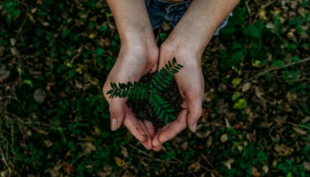 Empowering Agricultural Sustainability cover picture