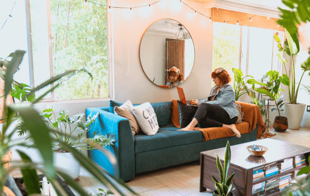 How To Style Waxy Leaves Houseplants In Your Home cover picture