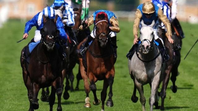 Unveiling the Excitement: Horse Racing Result cover picture