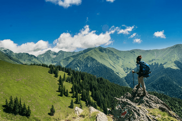 The Health Benefits of Taking Regular Vacations: Why Time Off Matters cover picture