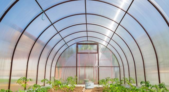 Polycarbonate Greenhouses: The Eco-Friendly Solution for Year-Round Gardening cover picture