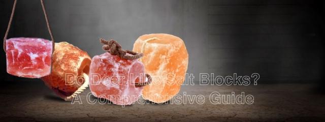 The Secret to Healthier Livestock: Why Your Cattle Need Himalayan Salt Blocks cover picture