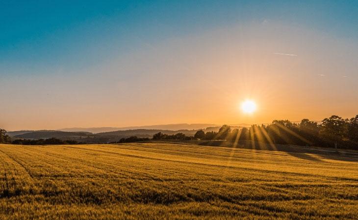 Agri Journal World's cover picture