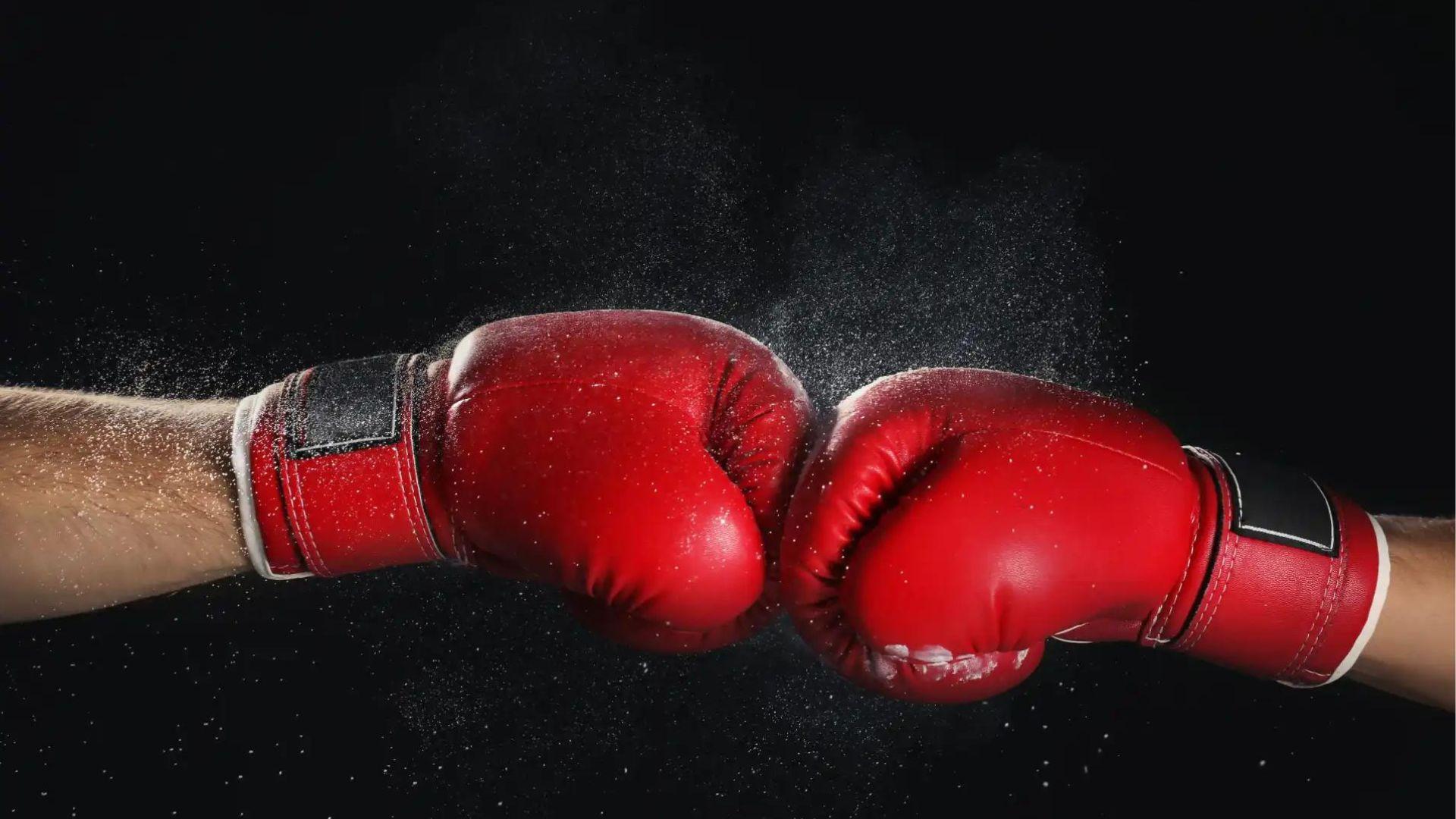 news boxing's cover picture