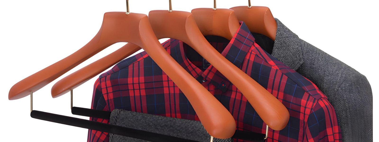 . SunFine Hanger's cover picture
