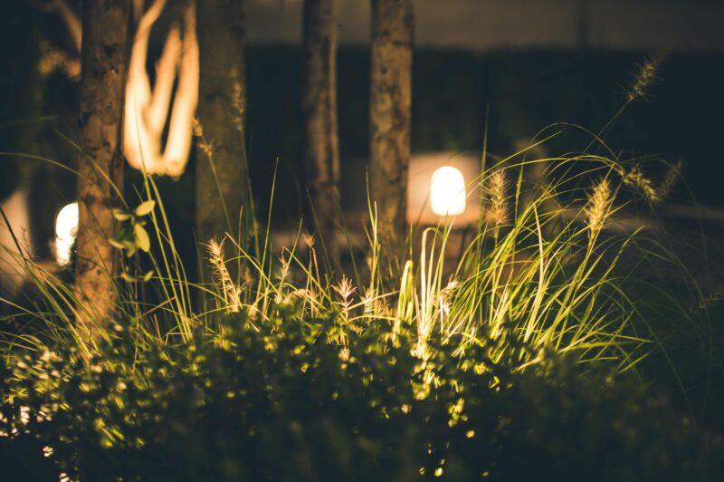 C2C Lights's cover picture