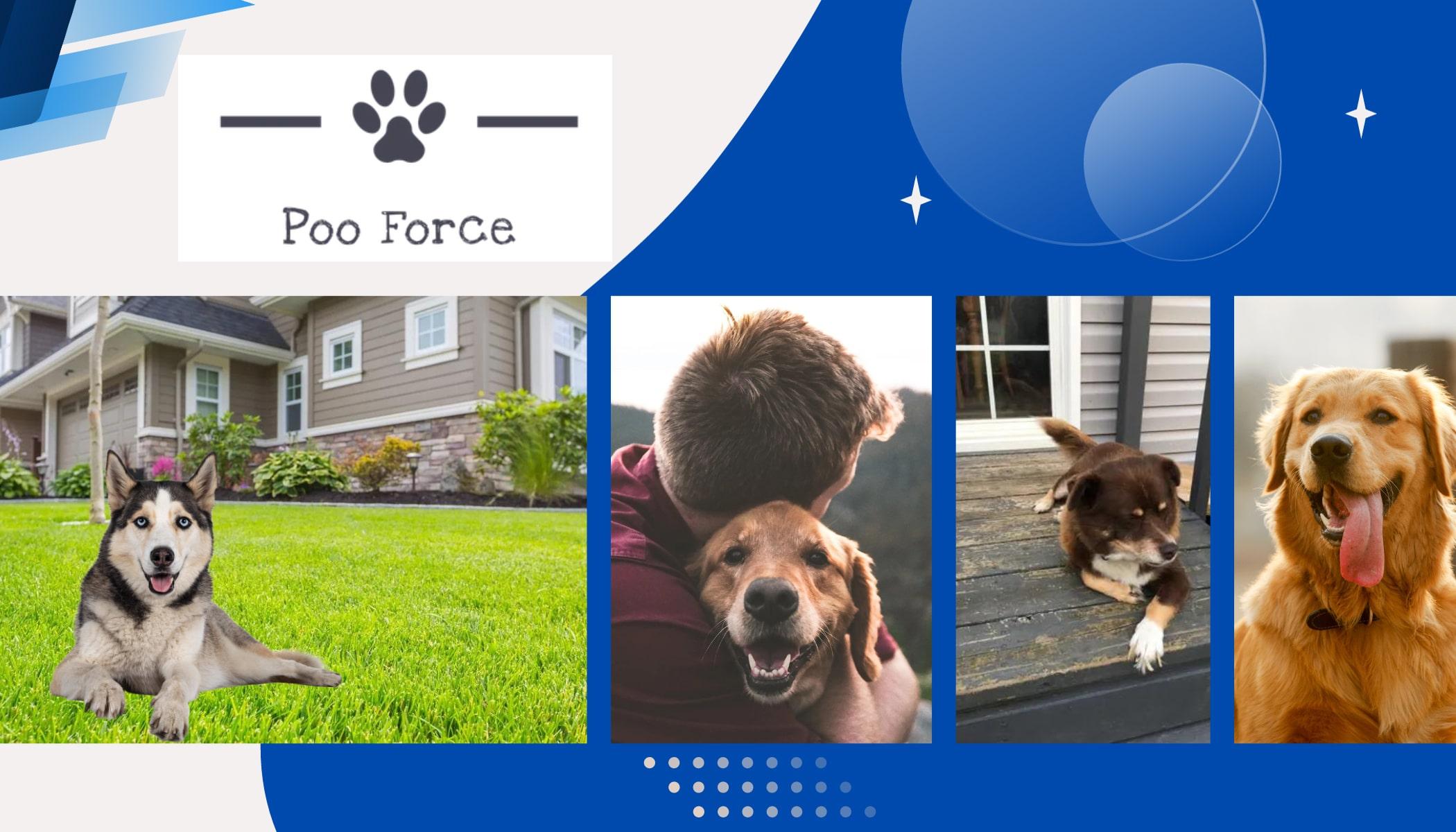 Poo Force Dog Poop Clean Up's cover picture