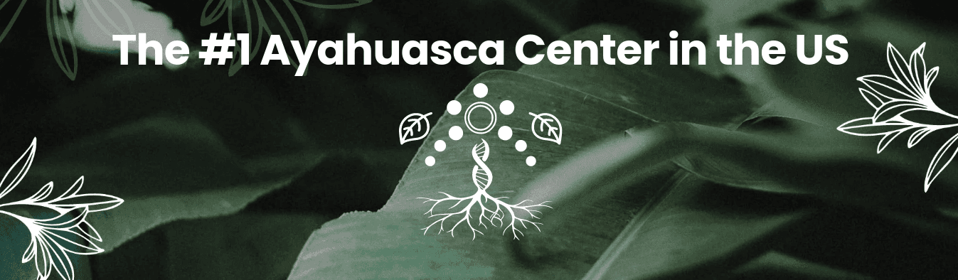 Pachamama Sanctuary's cover picture
