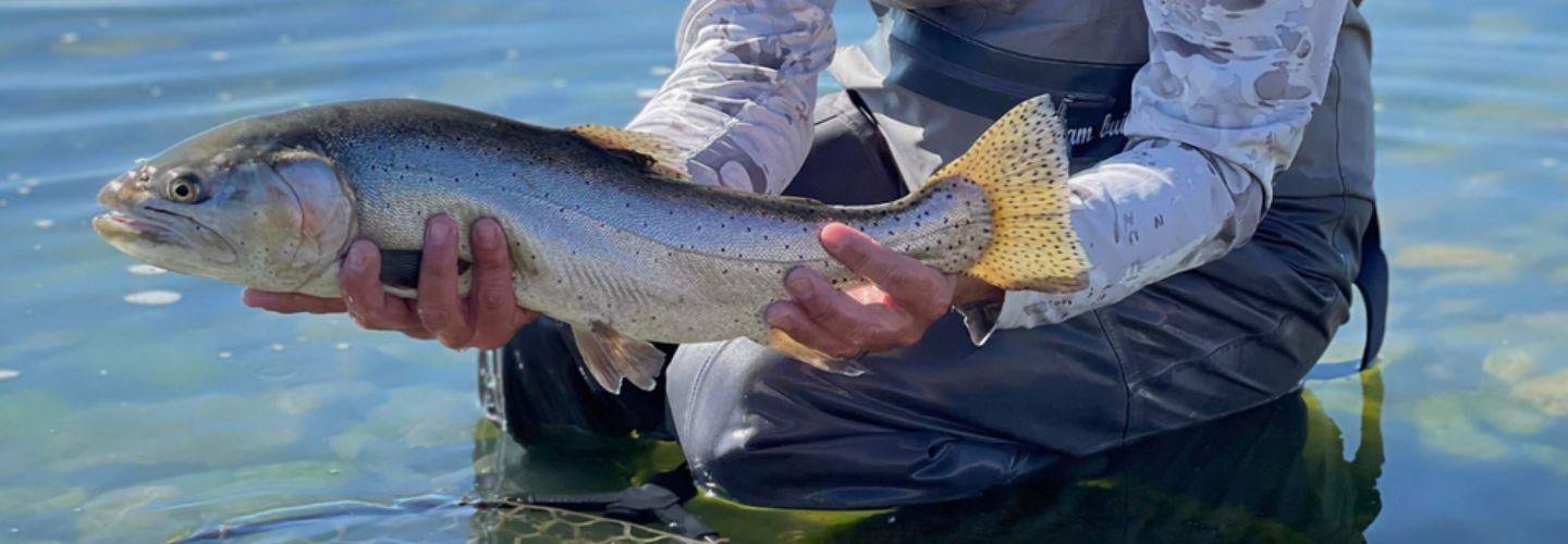 Fishing Adamsbuilt's cover picture