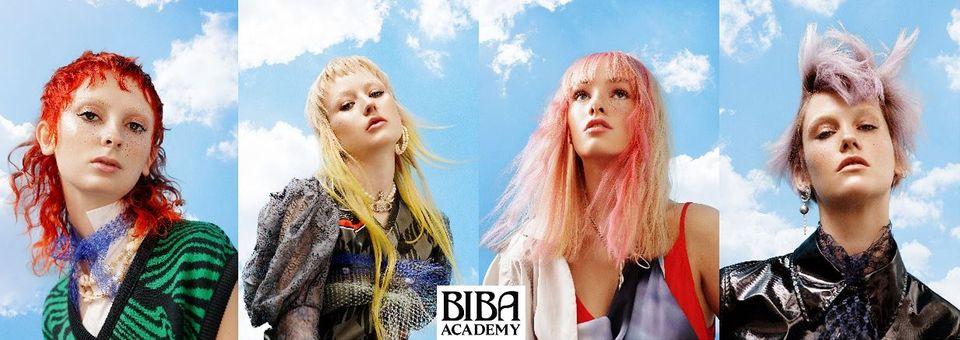 Biba Acadmey's cover picture