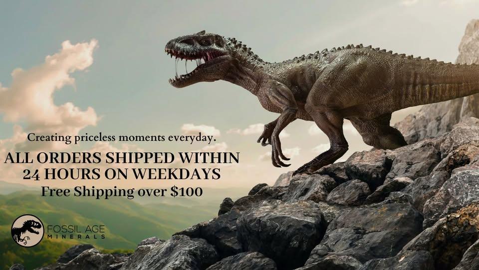 Fossil Age Minerals's cover picture