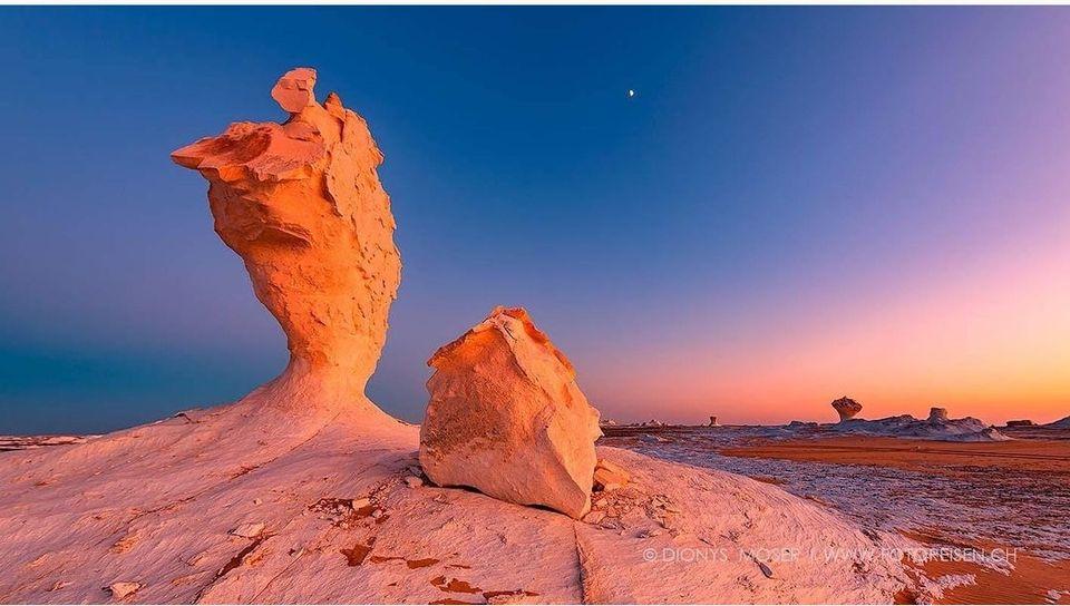 Desert Travel White's cover picture