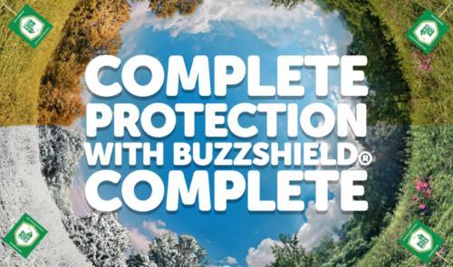 Boss Buzz's cover picture