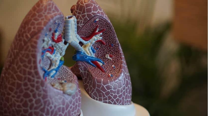 What are the causes of shortness of breath? cover picture