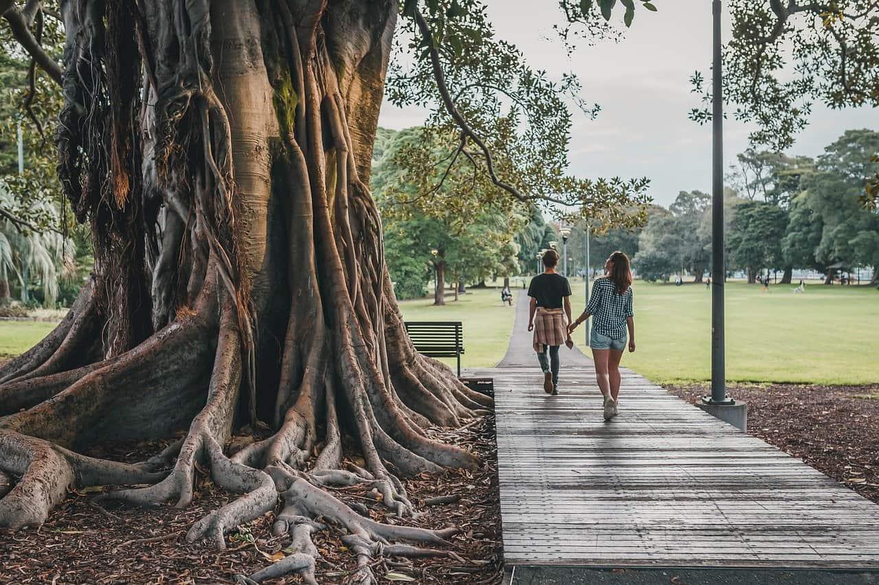 Preserving the environment and its psychology cover picture