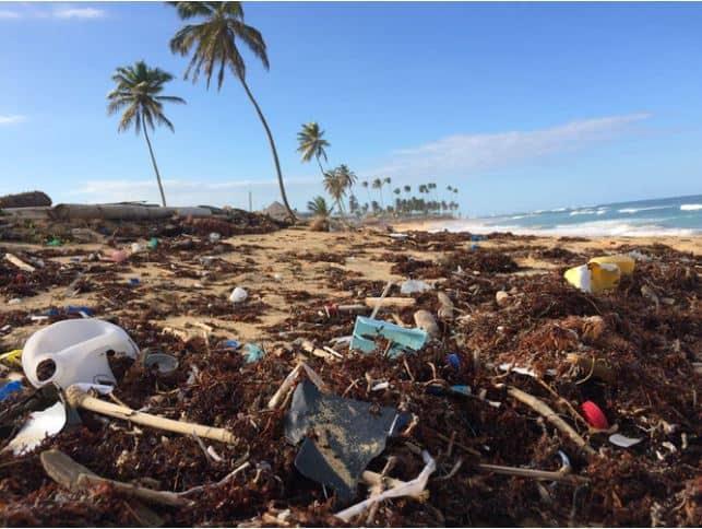 Marine Pollution: the oceans the trash can of the world cover picture