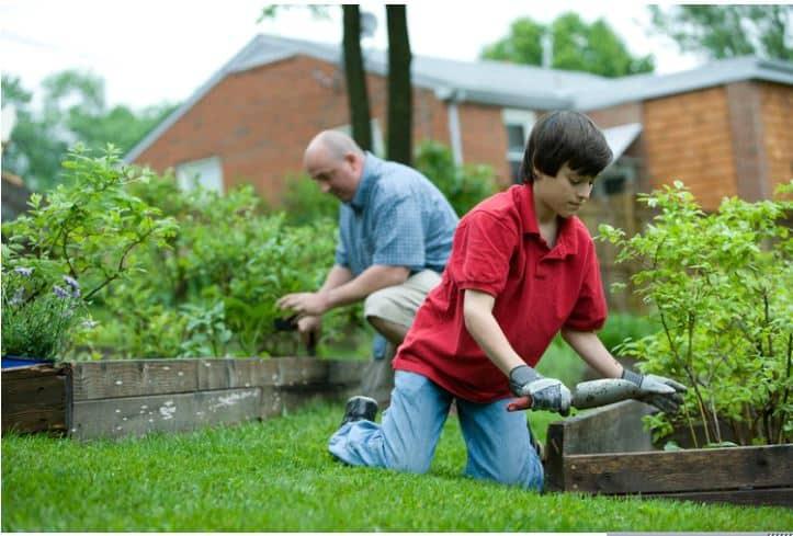 How can we help in the environmental protection for a better life? cover picture