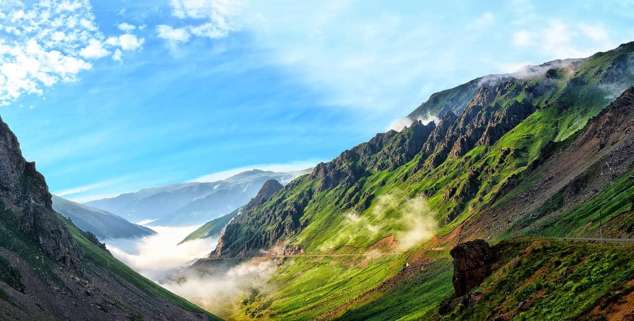 Seven ways for environmental protection throughout the year cover picture