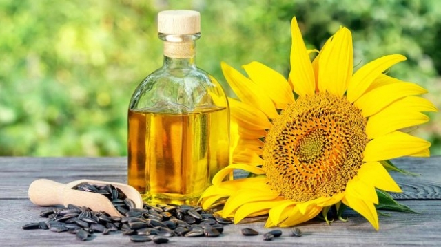Sunflower Oil: An Important Edible Oil Source Worldwide