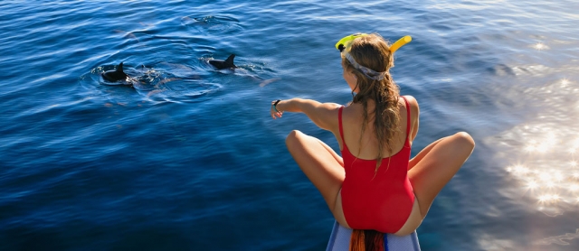 Port Stephens: A Paradise for Dolphin Watching and Adventures