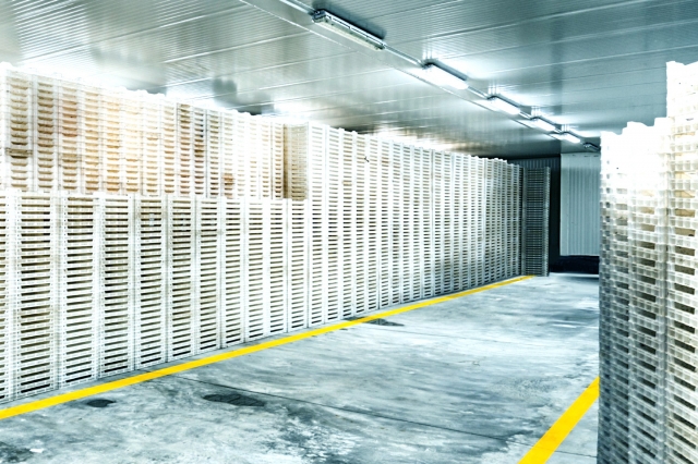 US Cold Storage: Importance, Types, Benefits & Industry Growth