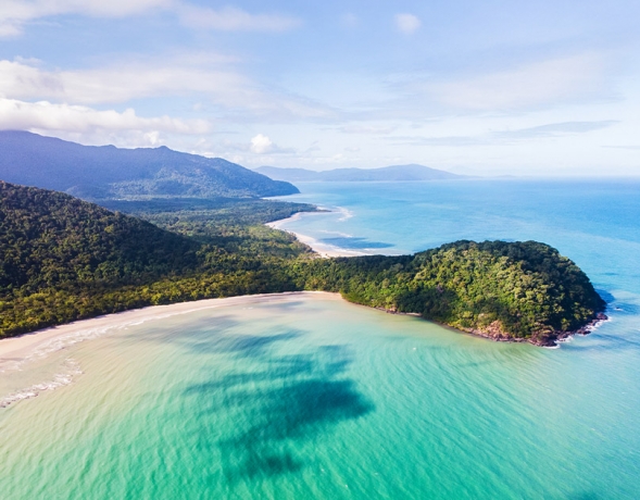 Reefs, Wildlife & Relaxation - A Perfect Family Cruise in Port Douglas!
