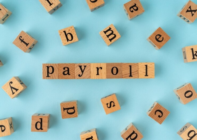 Payroll Software in 2025: What Businesses Need to Know