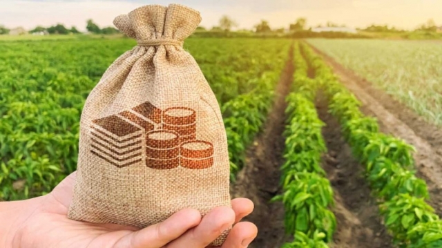 Types of Taxes in Pakistan and Their Economic Role