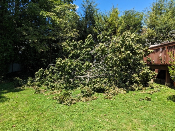 Is Hiring a Public Insurance Adjuster Worth It? Here’s What You Need to Know 