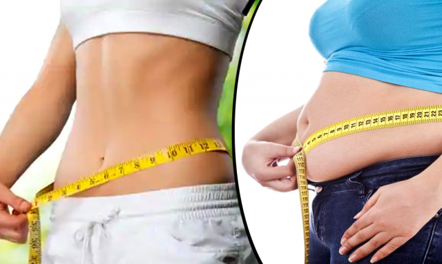 Real Women, Real Results: Plant-Based Weight Loss for Women Over 40