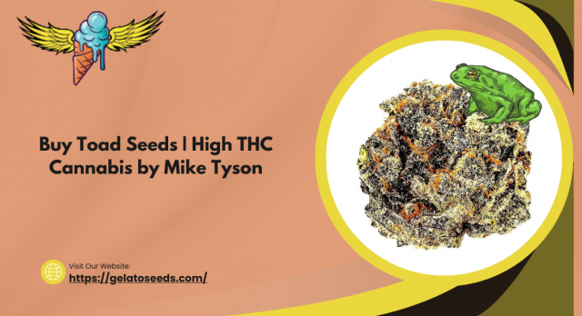 Buy Toad Seeds | High THC Cannabis by Mike Tyson