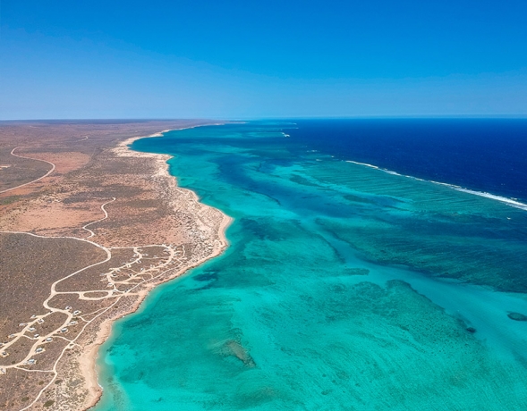Ningaloo Uncovered: Top Adventures in Australia’s Marine Wonderland