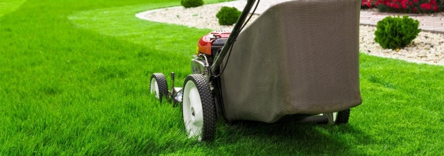 Essential Lawn and Gardening Services for a Beautiful Home in Hamilton