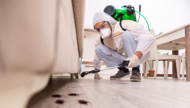 Pest Control for Restaurants in Mira Road: Ensuring Hygiene & Safety