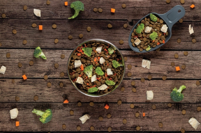 Thailand Pet Food Ingredients Market: A Focus on the Dominant Region