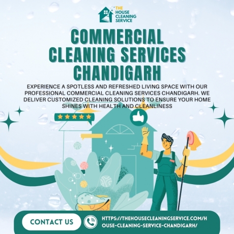 DIY vs. Professional Carpet Cleaning in Chandigarh: Which is Right for You?