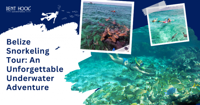 Belize Snorkeling Tour: An Unforgettable Underwater Adventure