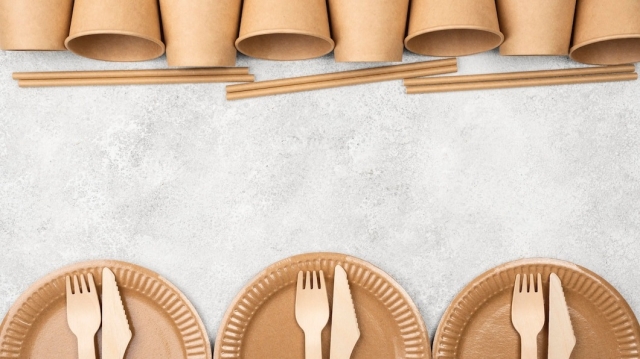 Raw Material Requirements for Setting Up a Rice Husk Based Biodegradable Disposable Cups and Plates Manufacturing Plant