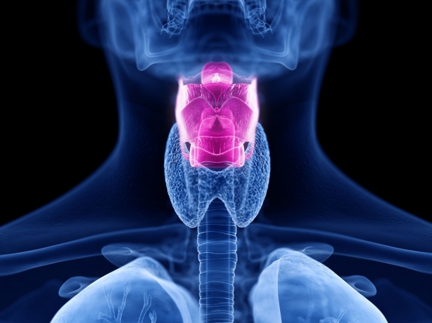 Medullary Thyroid Cancer Drugs Market is Estimated to Witness High Growth Owing to Advancement 