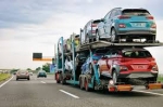 Best Car Shipping Company to Hawaii | Ali Baba Global 