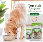 Best dog food for skin allergies in dubai